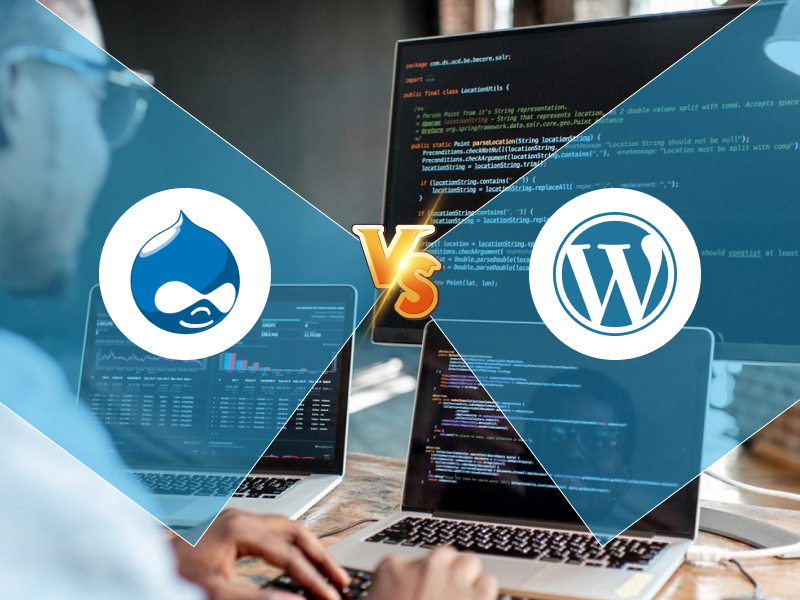Drupal vs WordPress Which CMS Platform is Good for You (2)