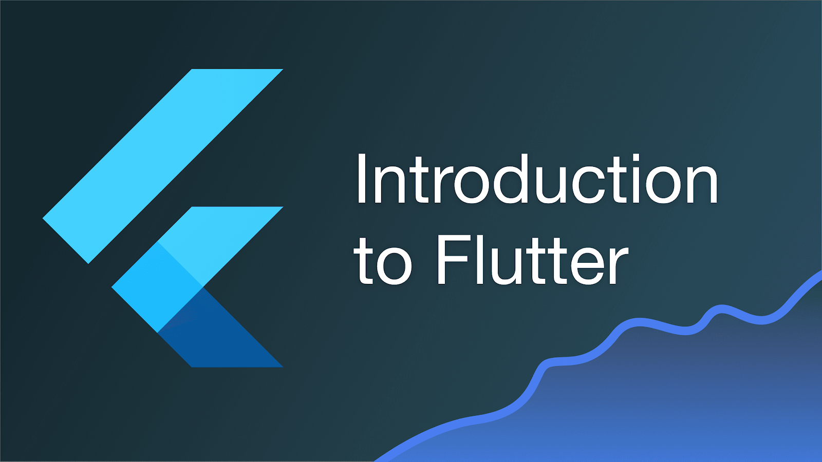 flutter app introduction